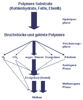Methane formation