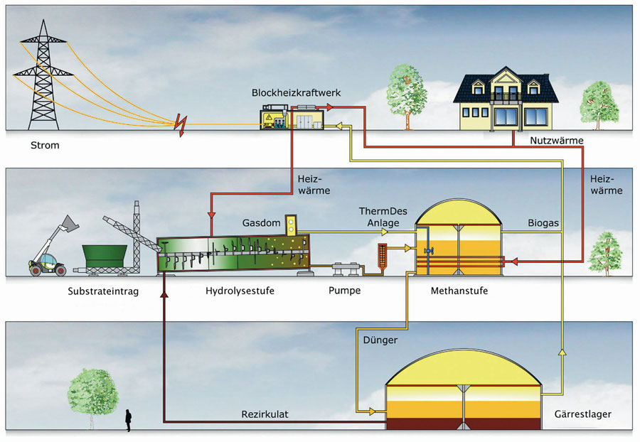 Types Of Plants Archea Biogas N V